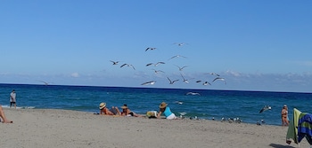 ch luxury condos and studios on the beach