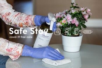 margi brandy apartament