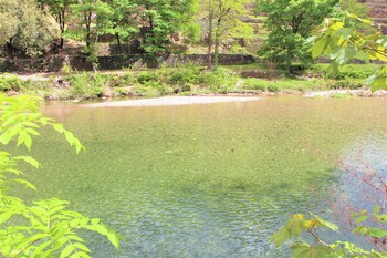 le moulin du luech bulles insolites