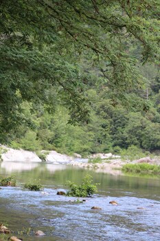 le moulin du luech bulles insolites