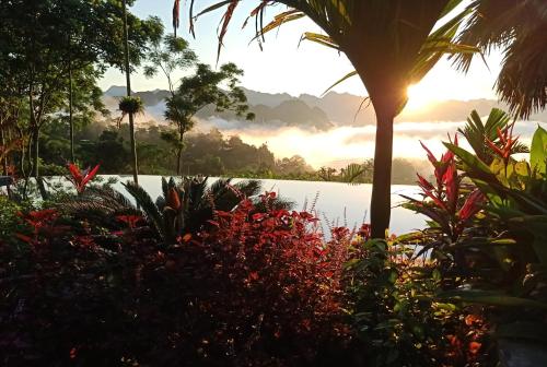 Puluong Home - Hostel,Hoa Binh>>Ba Thuoc,2 star