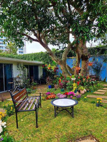 casa jardin del mango