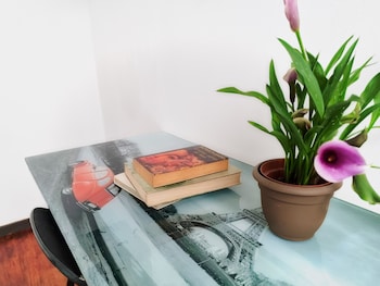 casa jardin del mango