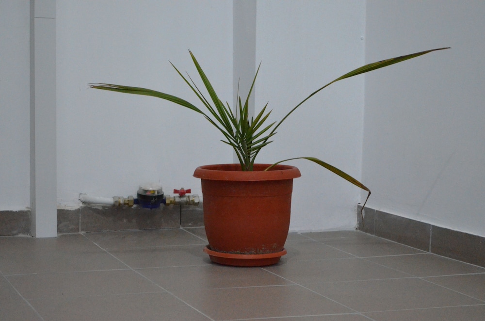 alexys residence 6
