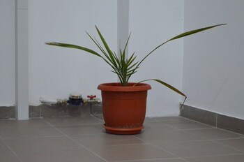 alexys residence 6