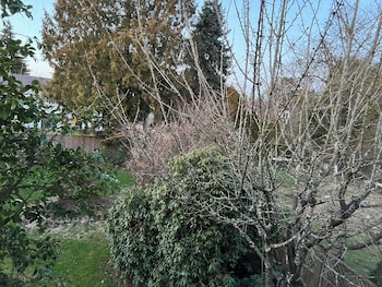 quite house near vancouver airport