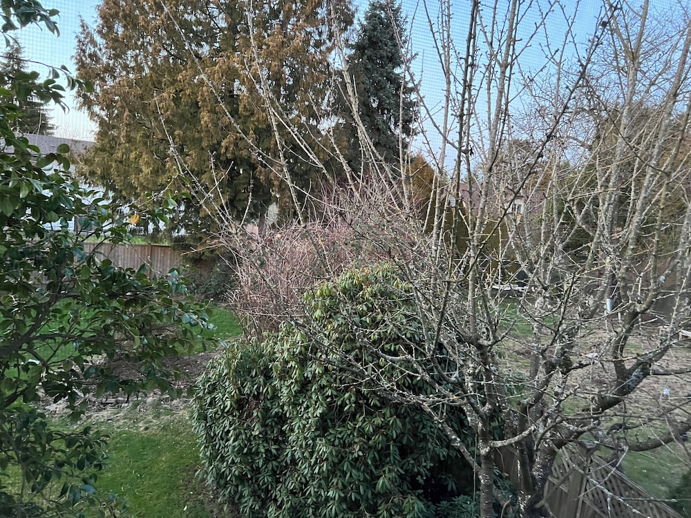 quite house near vancouver airport