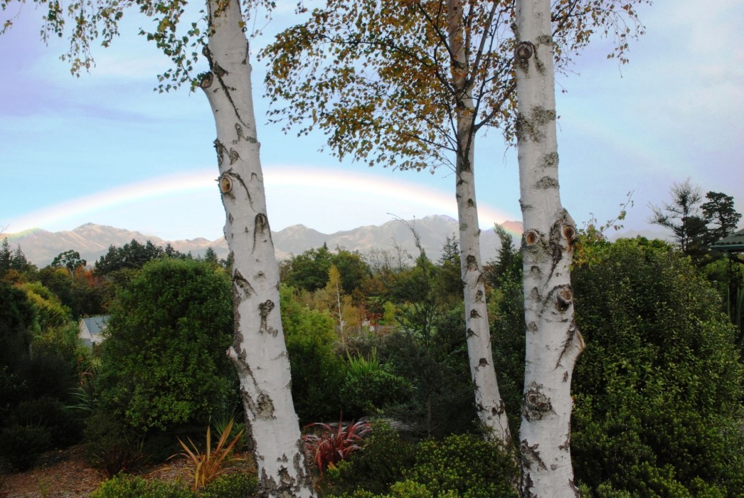 The Chalets Motel,Christchurch>>Canterbury,4 star