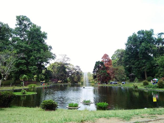 cipanas