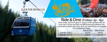 cozy stone mountain villa