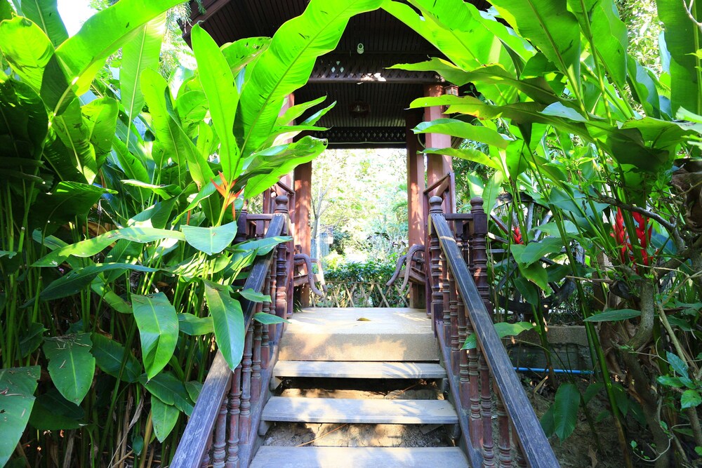 chiang mai
