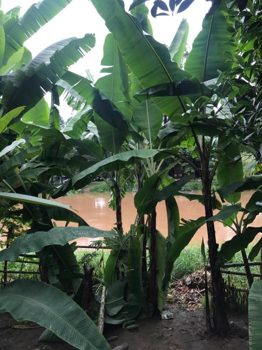 chiang mai