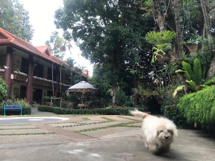 kawila126 villa