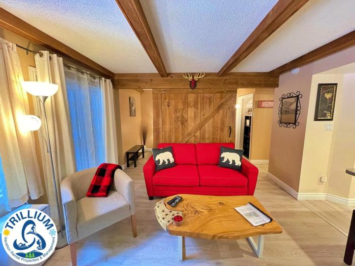 rustic mountainside chalet