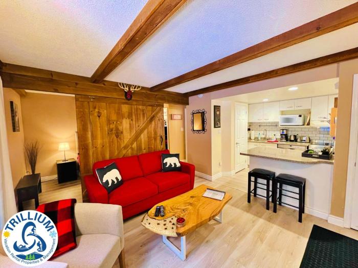 rustic mountainside chalet