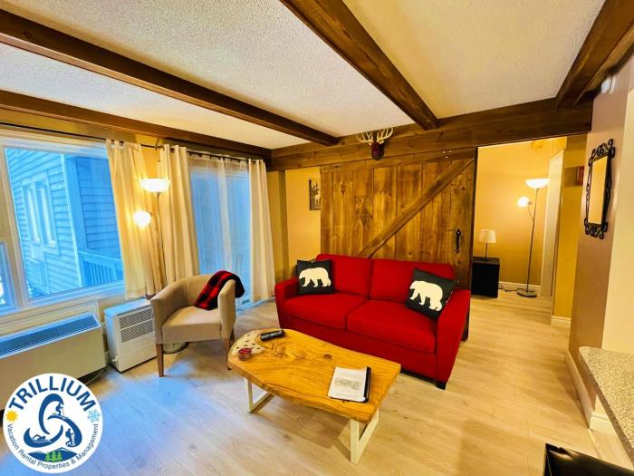 rustic mountainside chalet