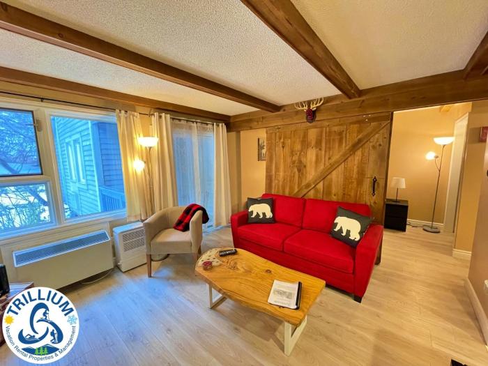 rustic mountainside chalet