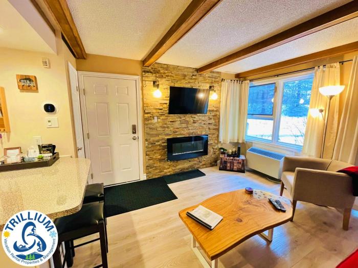 rustic mountainside chalet