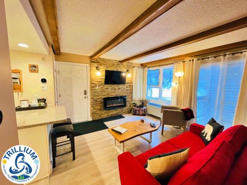 rustic mountainside chalet