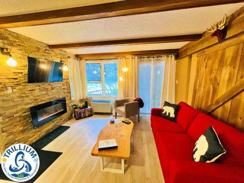 rustic mountainside chalet