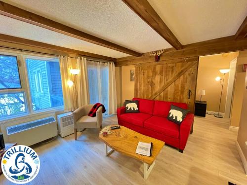 rustic mountainside chalet