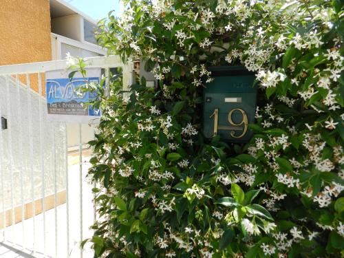 san giovanni teatino