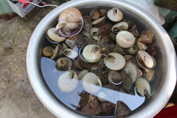 homestay bai huong