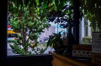 cabins by eco hotel tagaytay