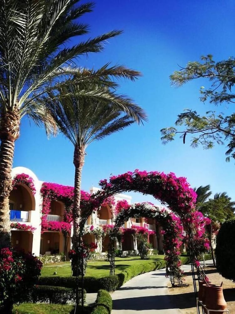 club magic life kalawy all inclusive