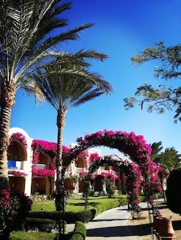 club magic life kalawy all inclusive