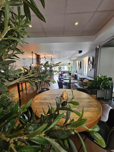 aurum hotel