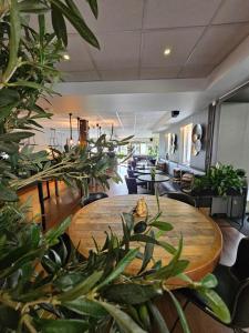 aurum hotel