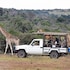 addo