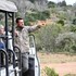 addo