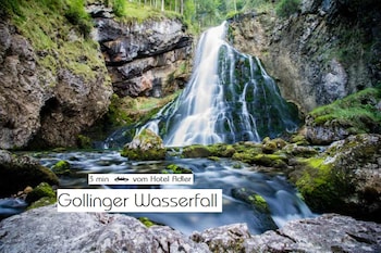 Hotel Adler,Hallein>>City Center Golling An Der Salzach,3 star