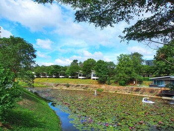 the piano resort