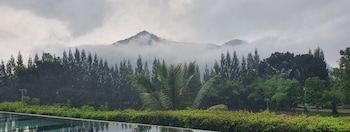 pak chong