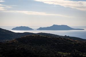 agios vasileios