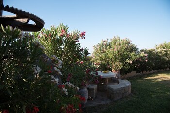 agios vasileios