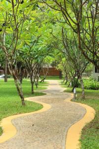 hansar casuarina cha am