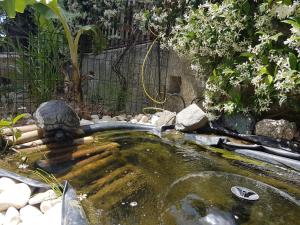 bandb magna grecia