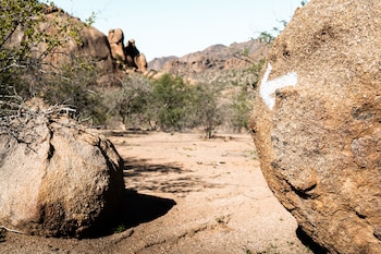 ai aiba the rockpainting lodge