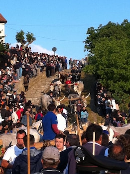 la cantina del convento