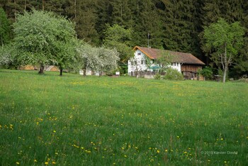 haus am waldesrand