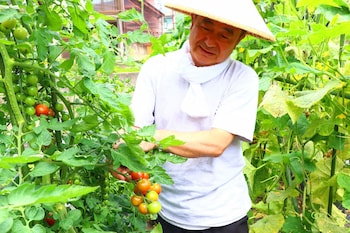 takanoya