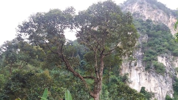 efm guest house