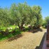 bandb nuraghe bianco