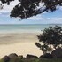 orewa