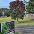 orewa beachcomber