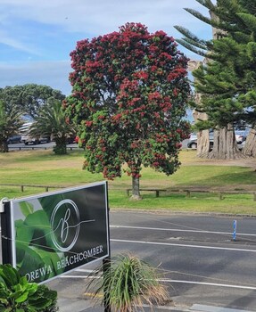 orewa beachcomber